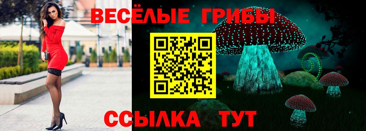 Псилоцибиновые грибы Cubensis Белая Калитва