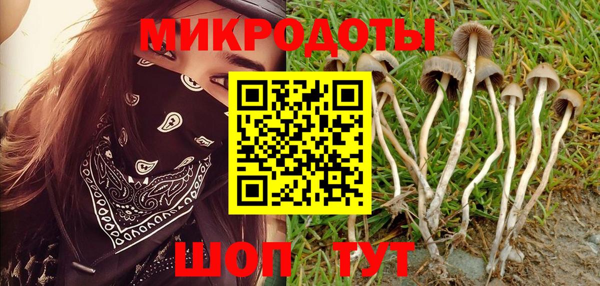 Псилоцибиновые грибы MAGIC MUSHROOMS  Вход с VPN  Галлюциногенные грибы Cubensis  Белая Калитва 